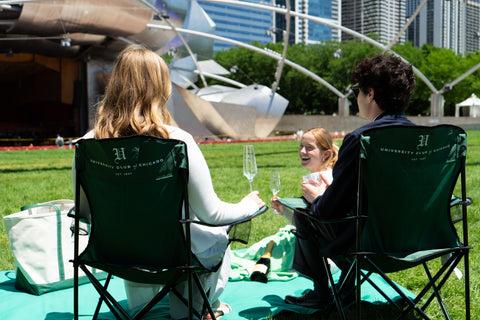 Picnic Chair