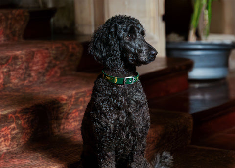 Bring a touch of the Club's timeless tradition to every walk